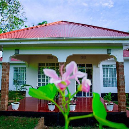 Royal Homestay Моши Екстериор снимка